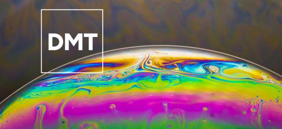 Was ist DMT? Alles Wissenswerte über dieses kraftvolle Psychedelikum