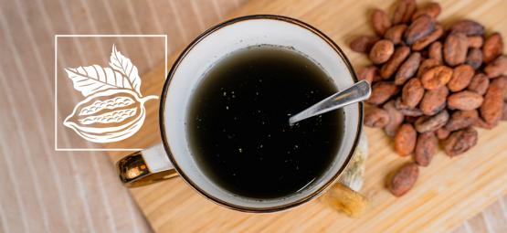 Die Kombination Der Azteken: Psilocybin Mit Kakao Mischen