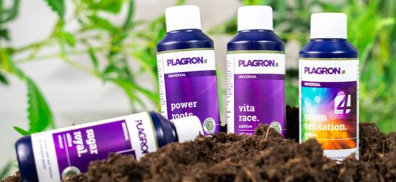 Cannabis organisch anbauen: Die besten natürlichen Dünger