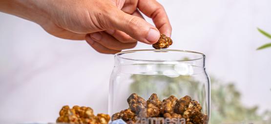 Wie lagert man Magic Truffles richtig?