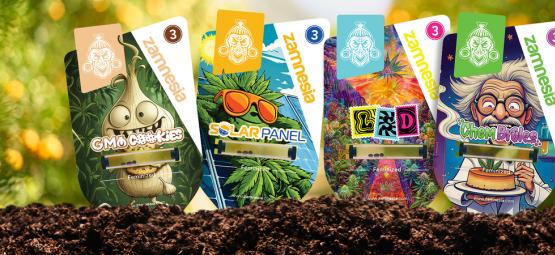 Willkommen in Sector Z: Eine geheime Cannabisentdeckung