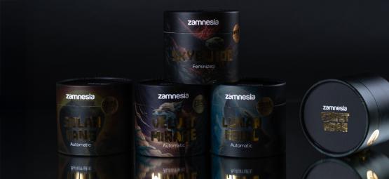 TRIBE bei Zamnesia: Züchte das Seltene, das Mutige, das Legendäre