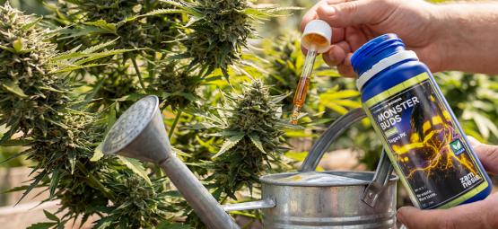 Maximiere das Wachstum mit Monster Buds: Eine komplette Düngerserie für jede Wachstumsphase