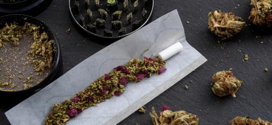 Top 10 Tabakersatzstoffe für Joints