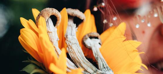 So bereitet man sich auf einen sicheren psychedelischen Trip vor