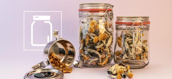 Anleitung: Magic Mushrooms Richtig Aufbewahren