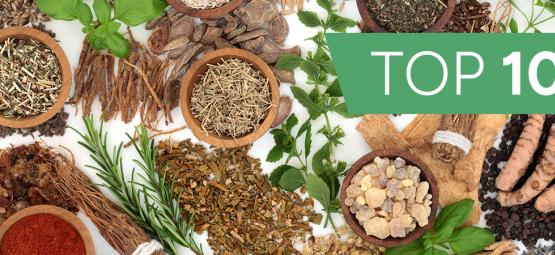 Die 10 verrücktesten legalen Highs