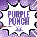 Purple Punch: Geschmack, Potenz Und Sch&ouml;nheit &ndash; Alles In Einem