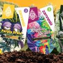 Zamnesia Sortenpr&auml;sentation: Entdecke Seltene Juwelen