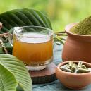 Kratom-Abh&auml;ngigkeit und -Entzug