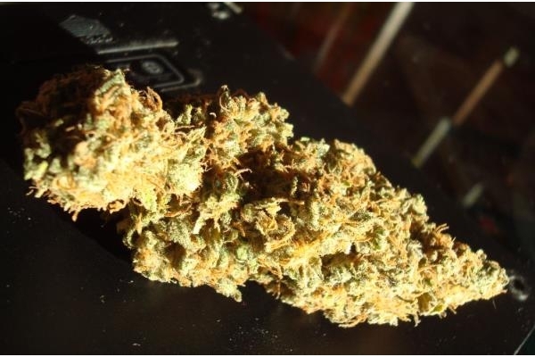 Power Flower (Royal Queen Seeds) feminisiert