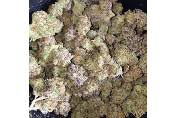 Blueberry Automatic (Zamnesia Seeds) feminisiert Blueberry Automatic (Zamnesia Seeds) feminisiert