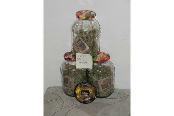 King's Kush Autoflowering (Greenhouse Seeds) feminisiert